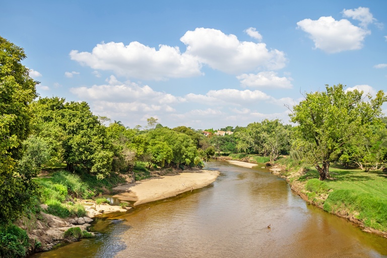 Dainfern Valley Estate, Sandton view