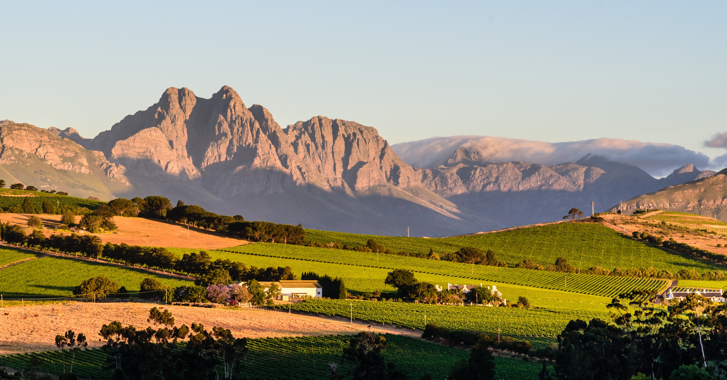 , Stellenbosch view