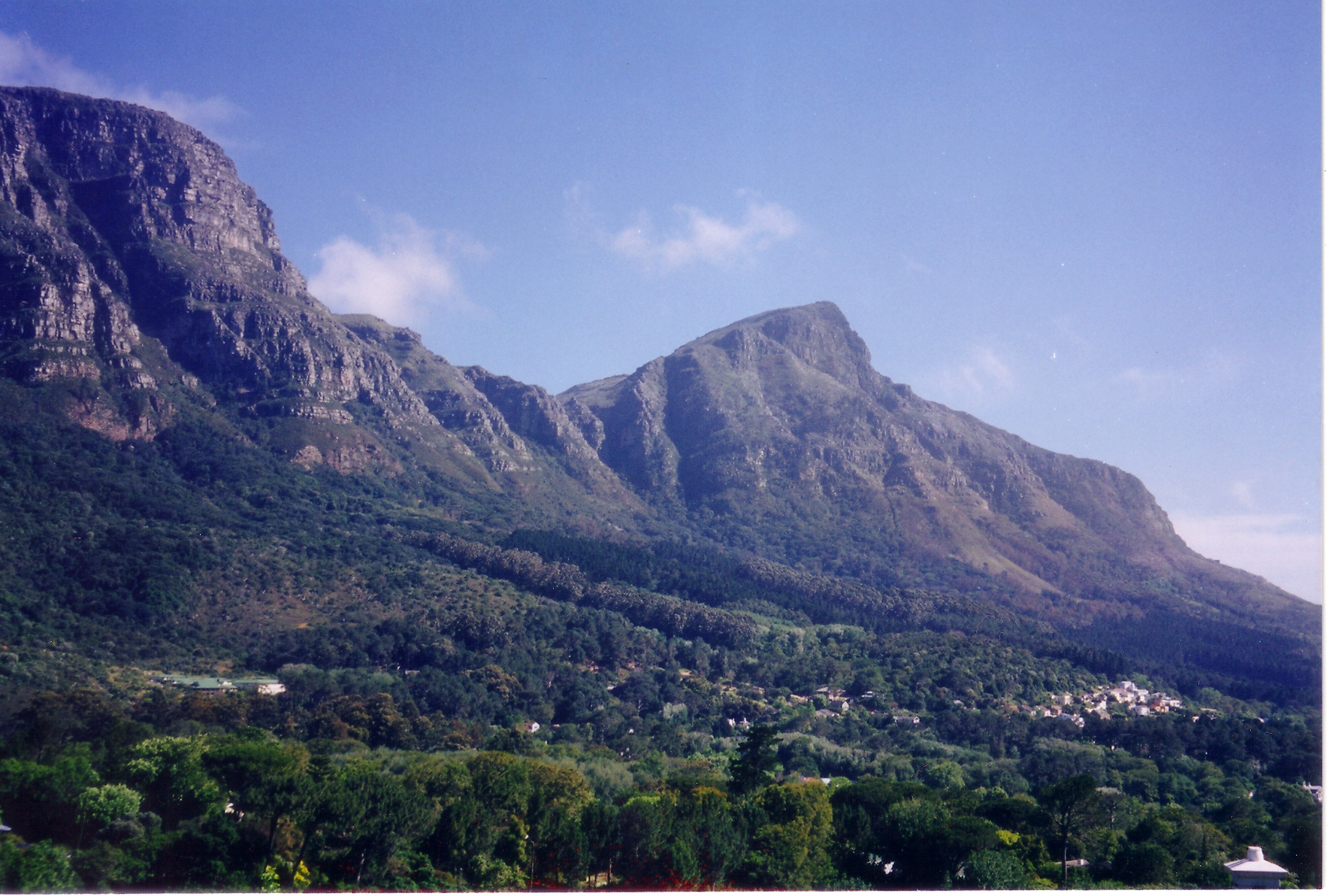 Newlands, Cape Town view