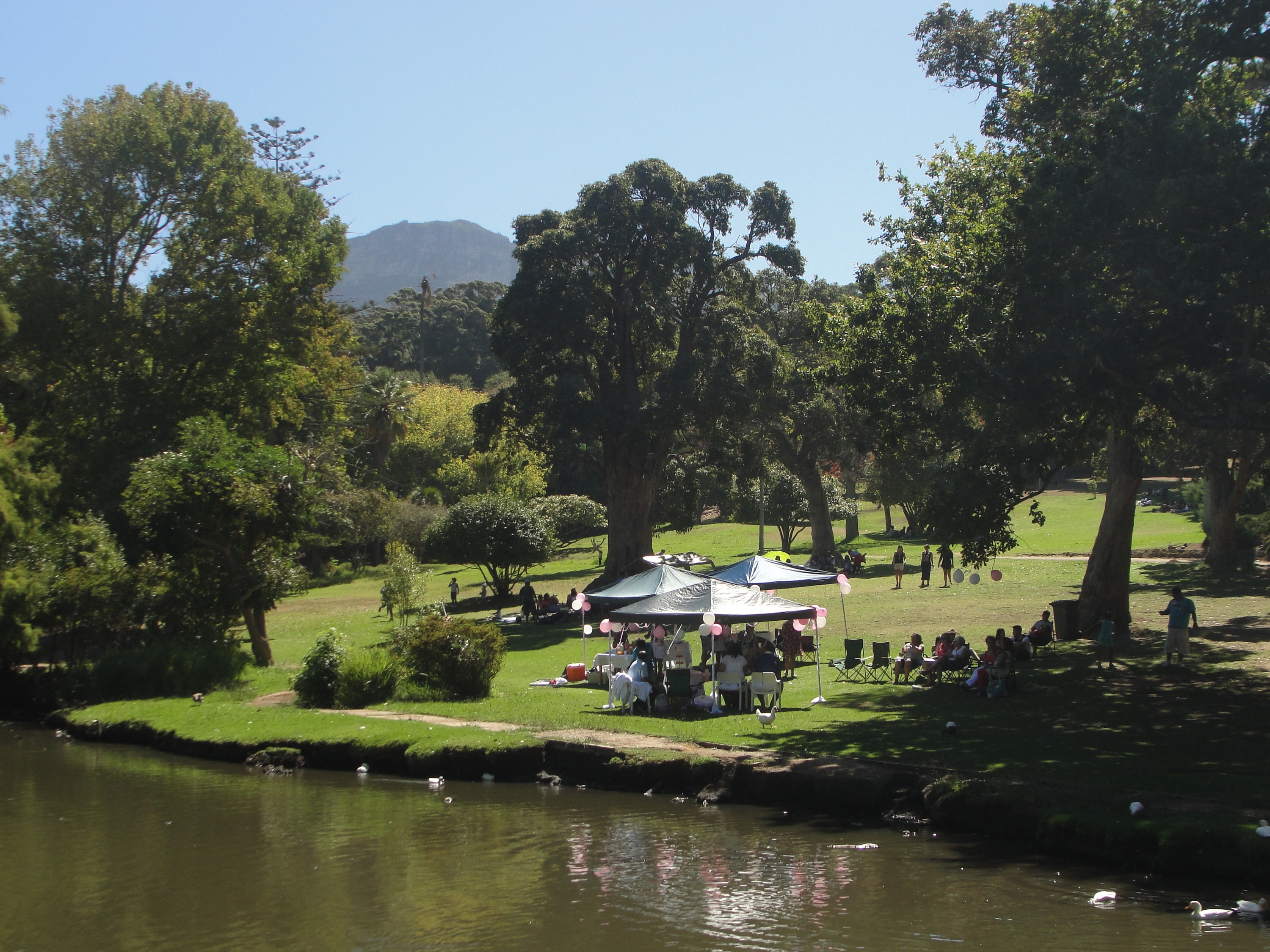 Wynberg, Cape Town view