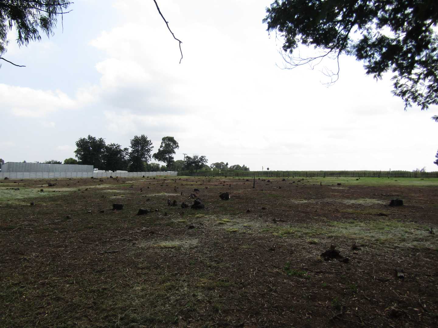 Vacant Land Agricultural For Sale in Bapsfontein