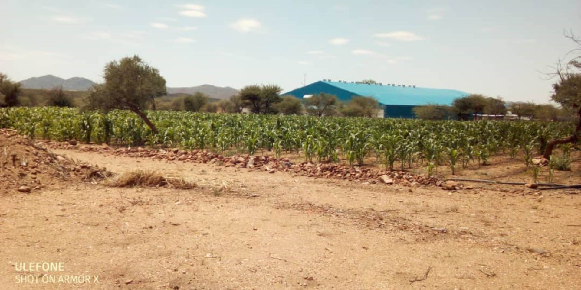 Okahandja Central Property property and houses for sale in Okahandja