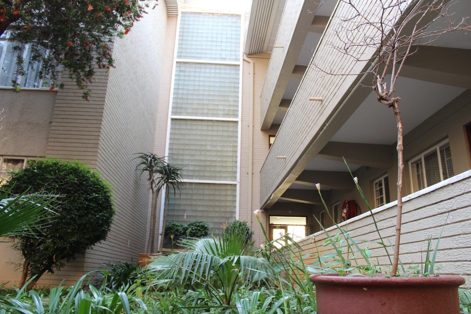 Modern Bachelor Apartment in Arcadia To Rent Secure Complex 2144574