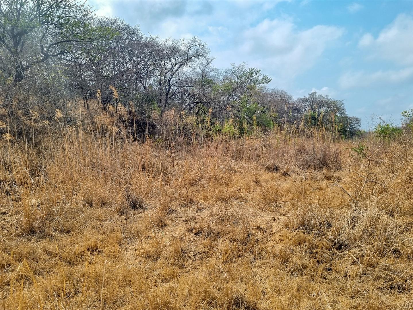 19,704m² Vacant Land Residential in Moditlo Nature Reserve For Sale R1
