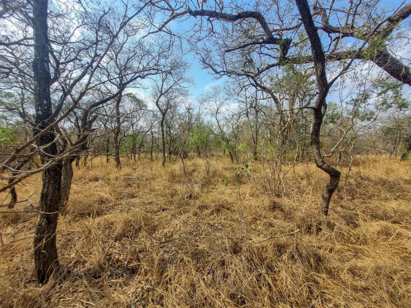 19,704m² Vacant Land Residential in Moditlo Nature Reserve For Sale R1