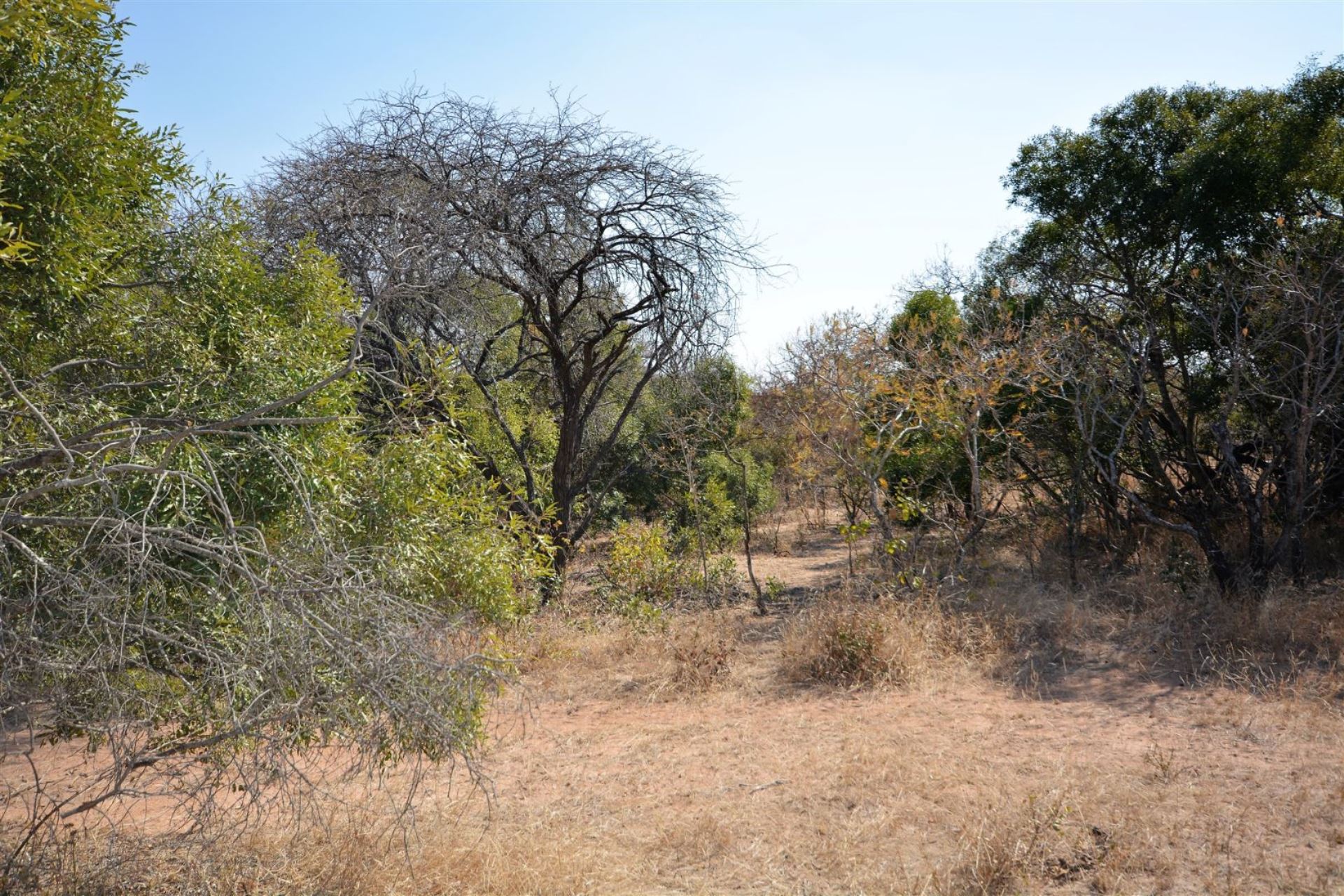 1ha Vacant Land Residential in Moditlo Nature Reserve For Sale R950,000 ...