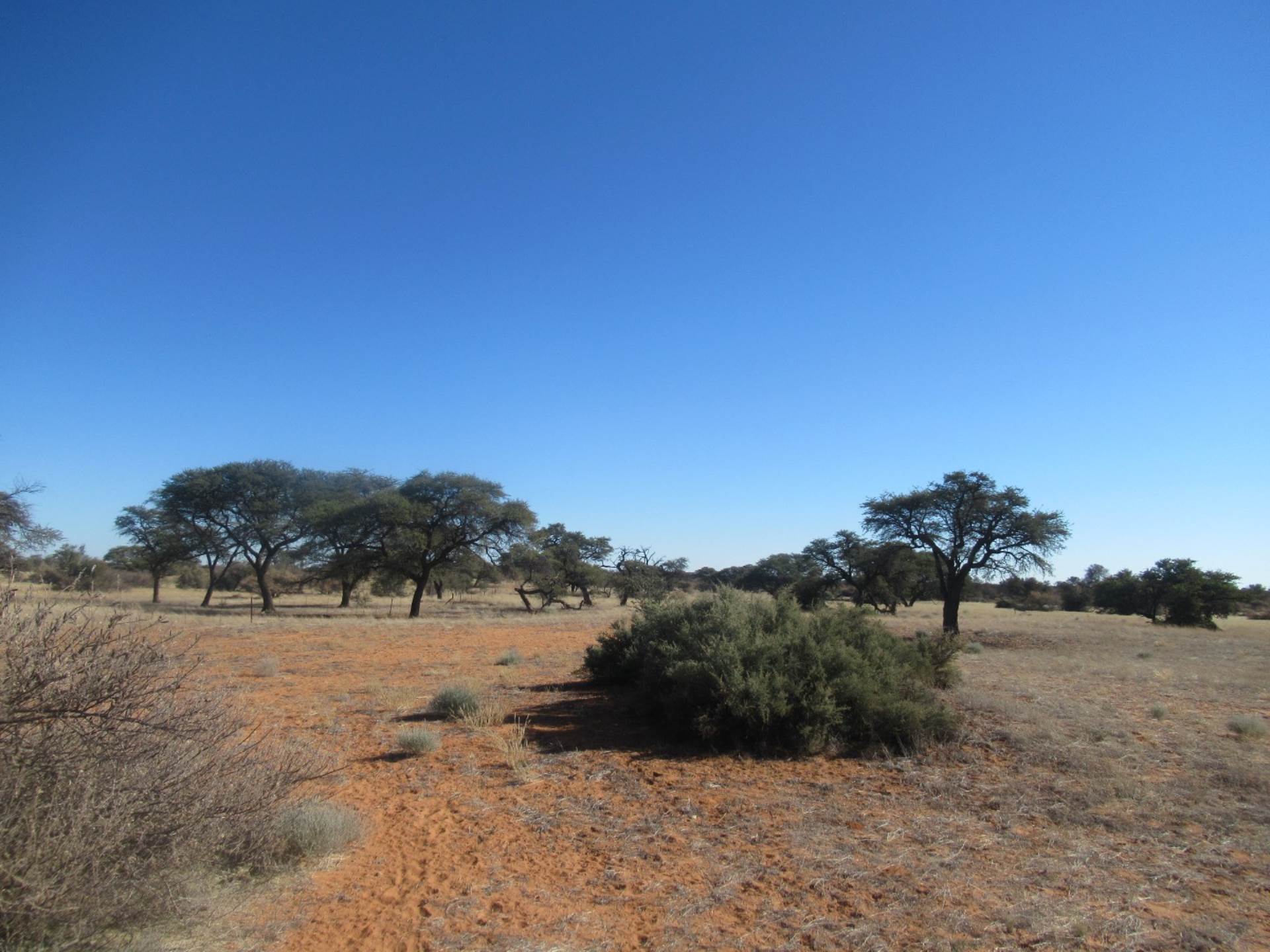 Farm For Sale In Leonardville, Leonardville, Namibia for NAM $ 16,500,000