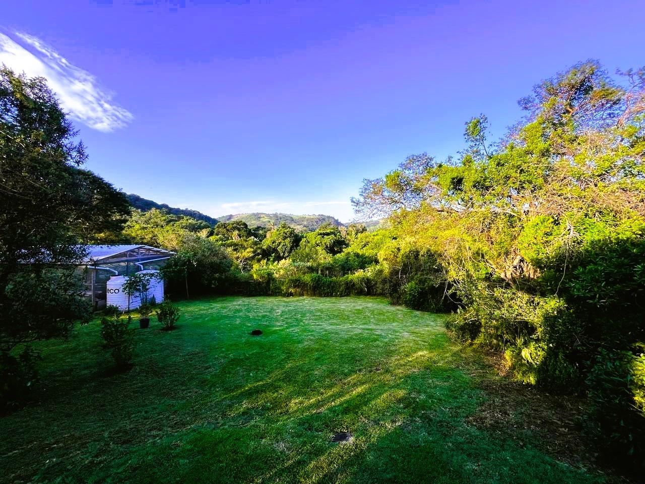 For Sale Unique Bay Central House with Forest Views and