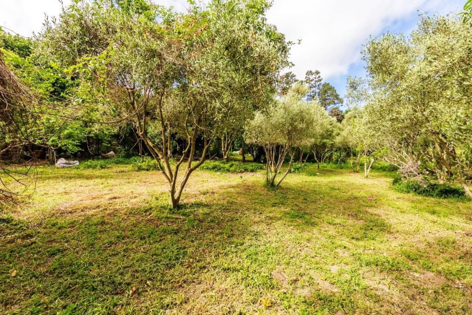 1,000m² Vacant Land Residential in Hout Bay For Sale R2,995,000 1406429