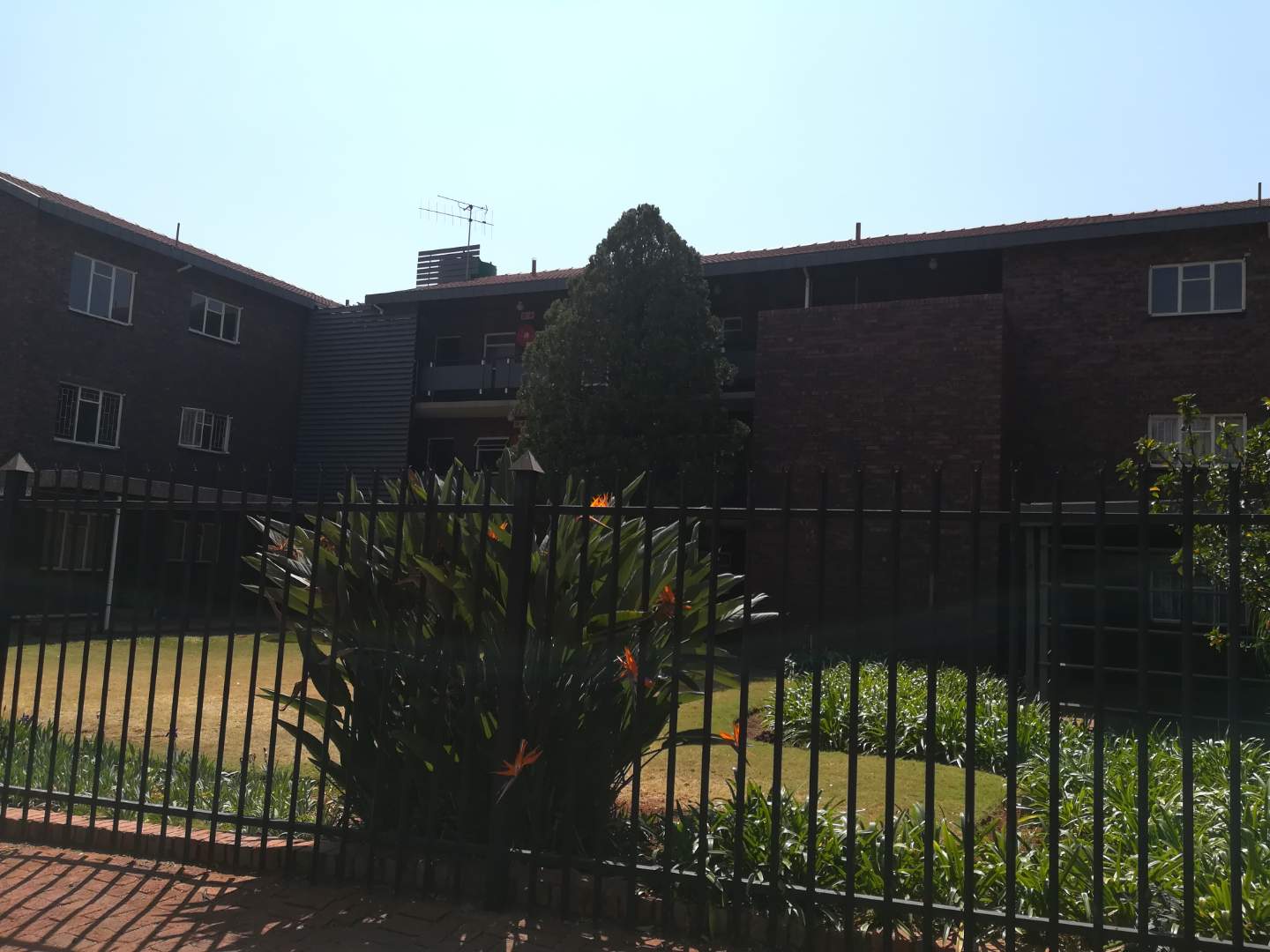 1 Bedroom Apartment in Annlin To Rent R5,300/month 2256337