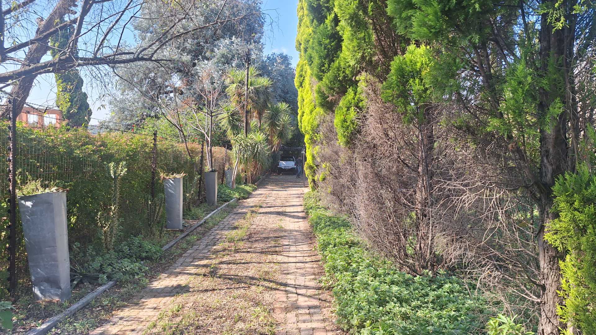 property-image