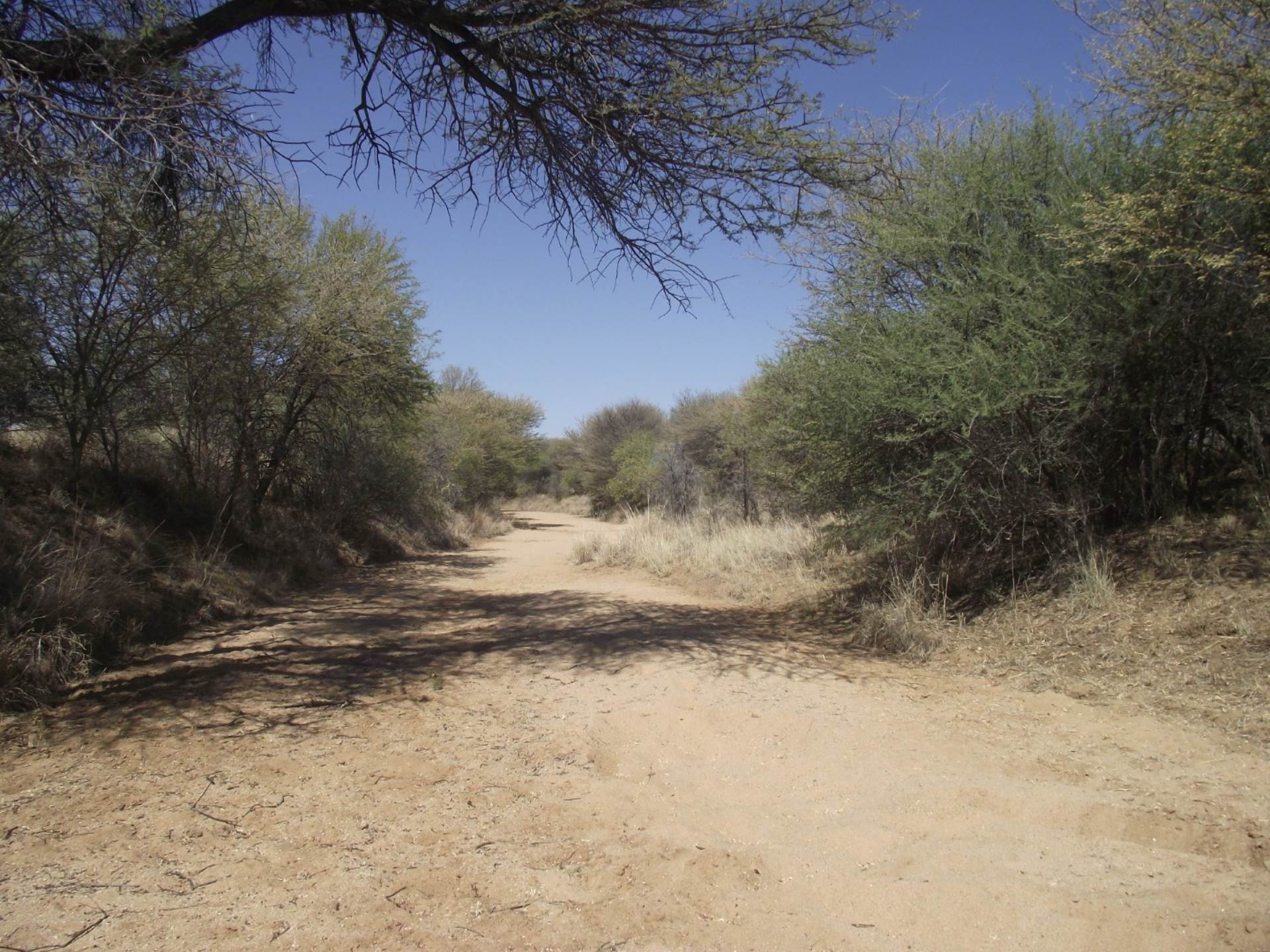 Farm For Sale In Hochfeld, Hochfeld, Namibia for NAM 50,000,000