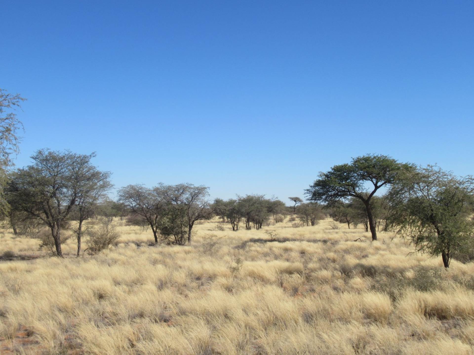 Farm For Sale In Leonardville, Leonardville, Namibia for NAM $ 16,500,000