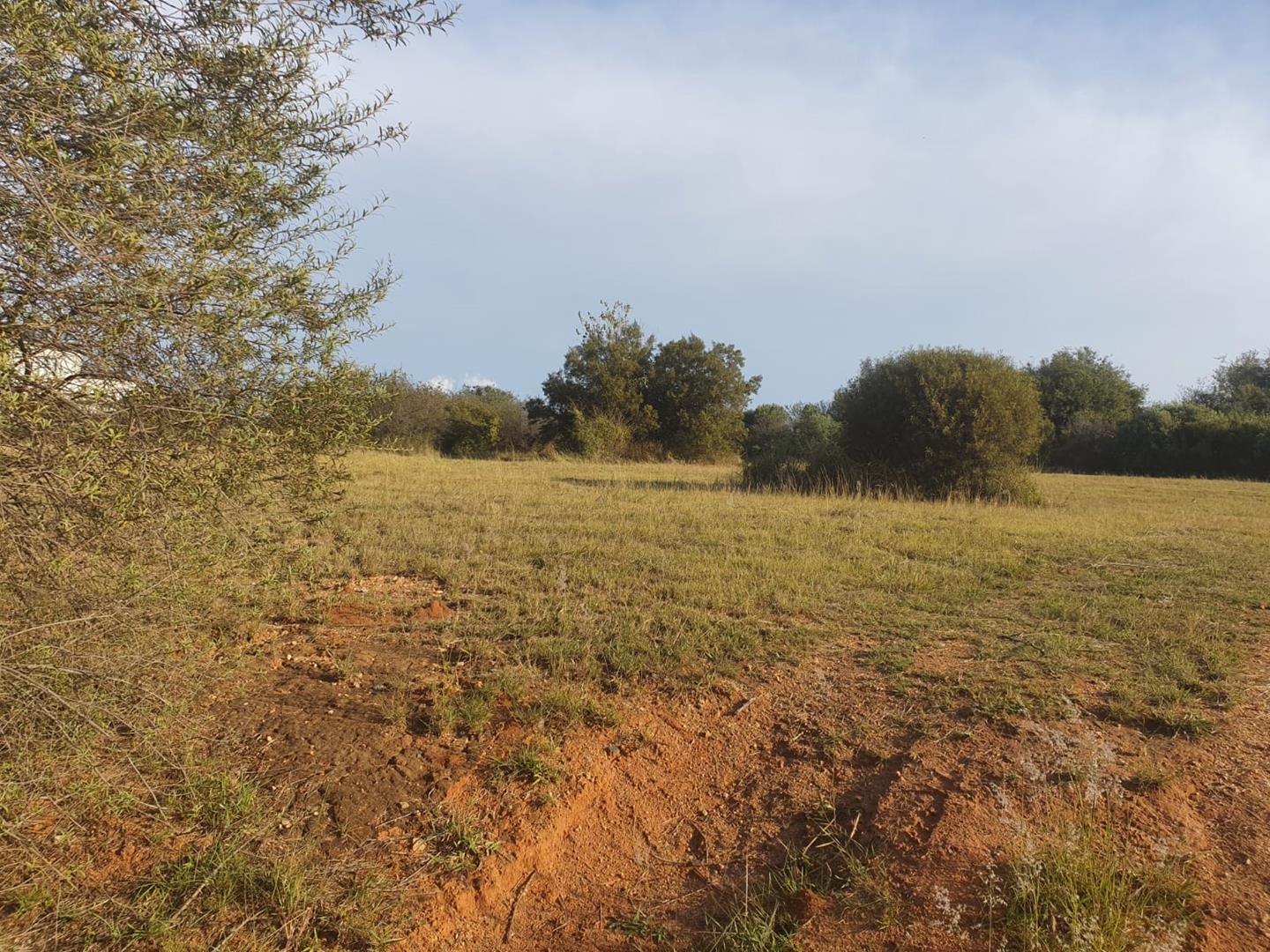 1,837m² Vacant Land Residential For Sale in Steyn City #2146284 ...