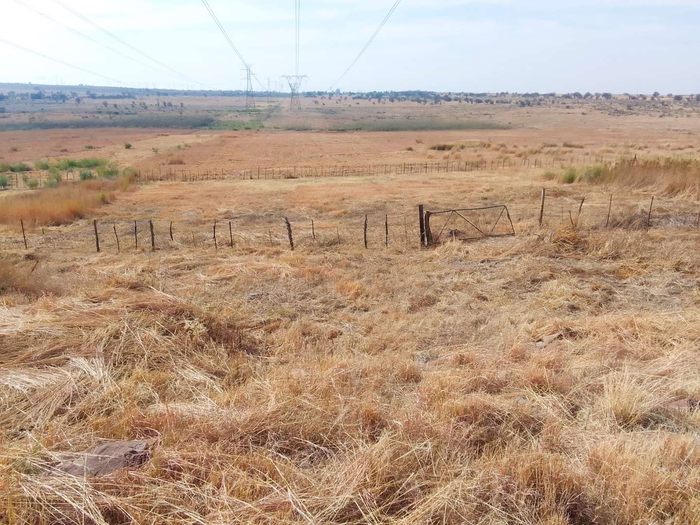 Farm for Sale in Randfontein South: Ideal for Agriculture and Livestock ...