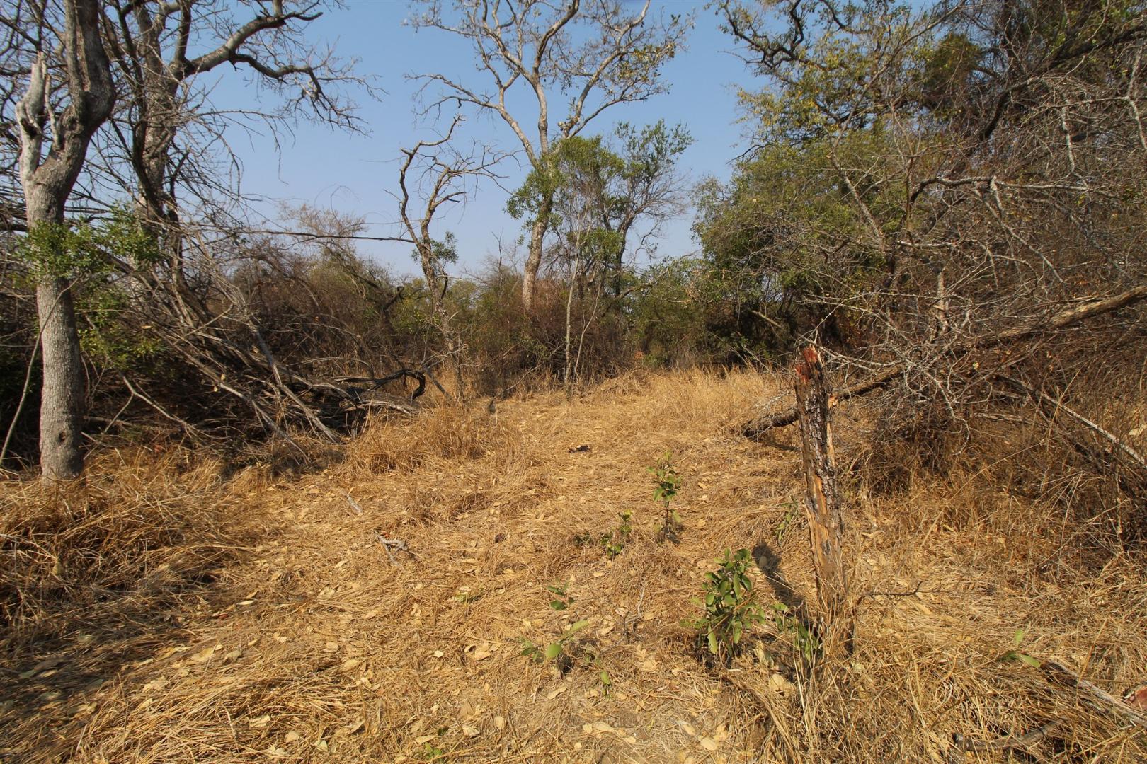 9,031m² Vacant Land Residential in Moditlo Nature Reserve For Sale R950 ...