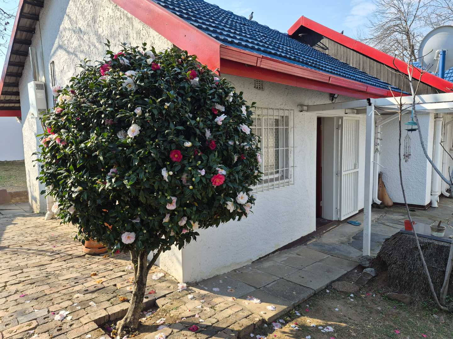 property-image