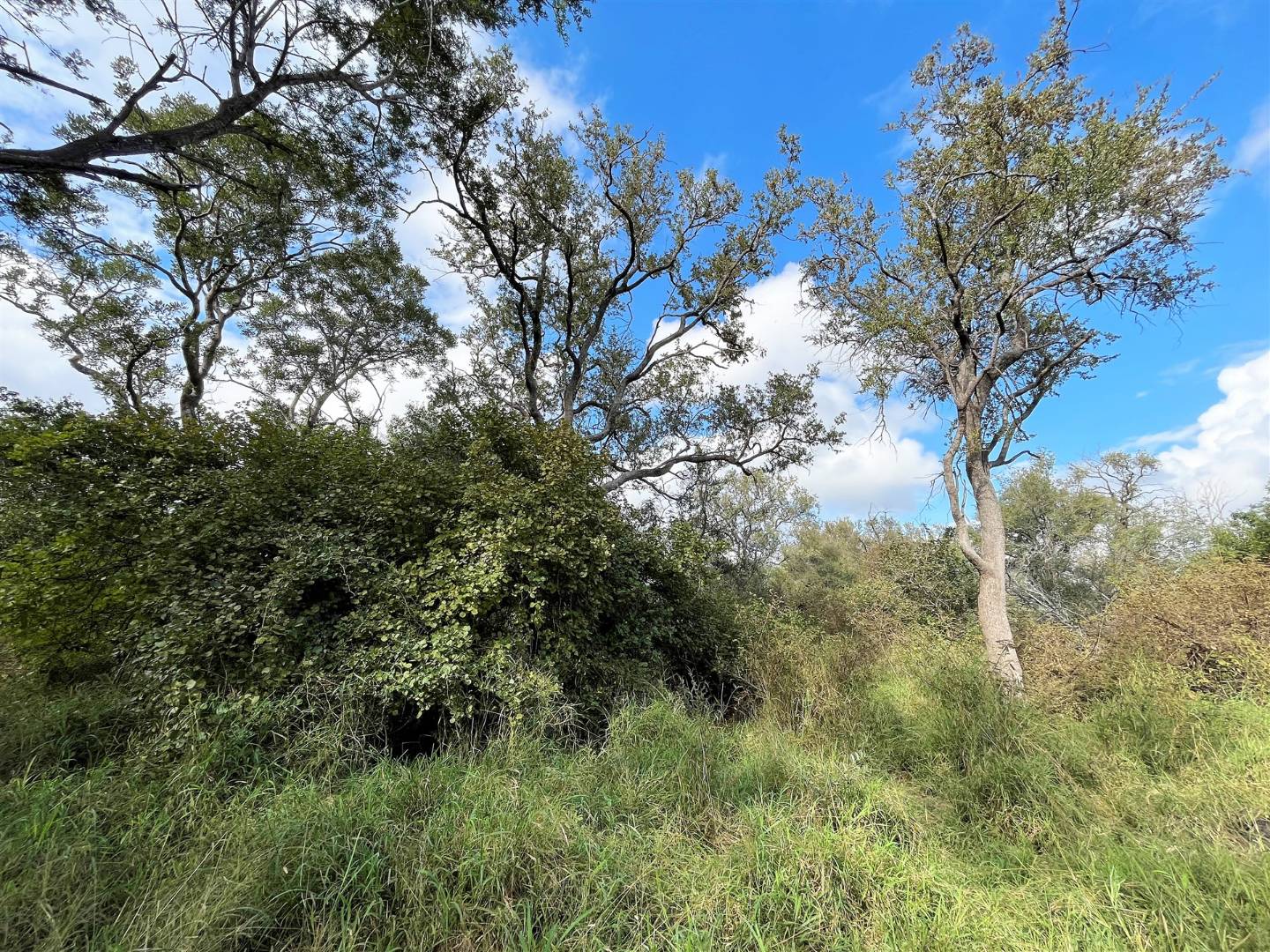 1ha Vacant Land Residential in Khaya Ndlovu For Sale R3,250,000 2154781