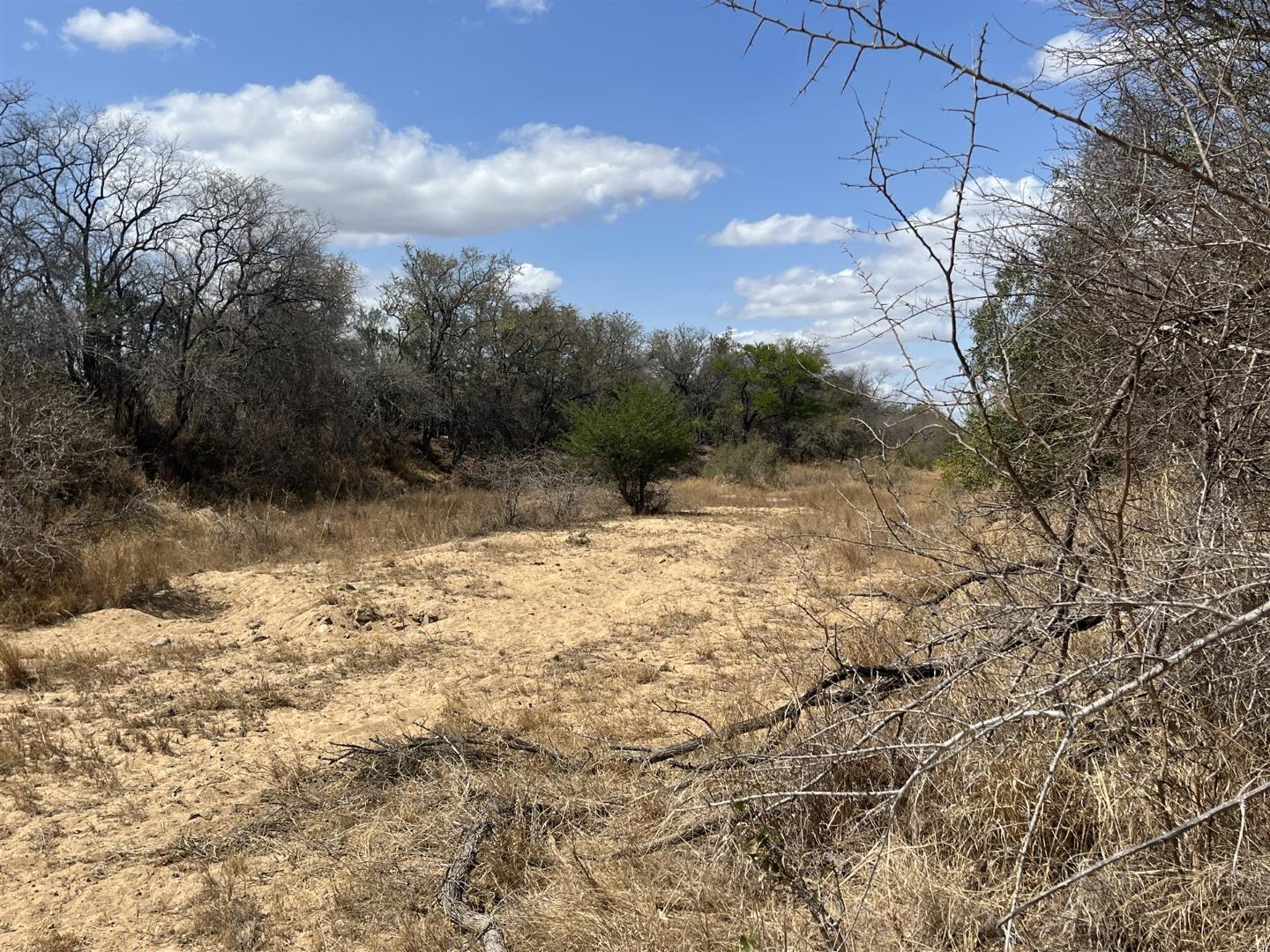1.1ha Vacant Land Residential in Moditlo Nature Reserve For Sale R1