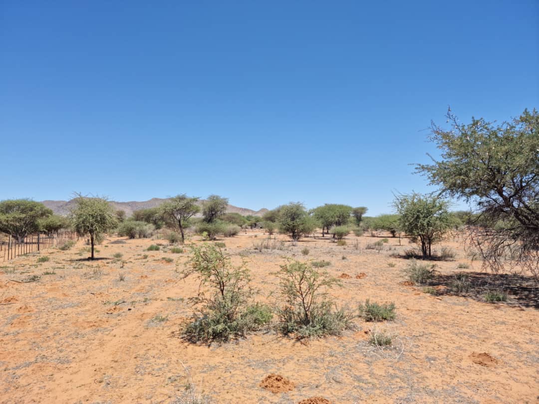 Rehoboth Property property and houses for sale in Rehoboth, 3145 of