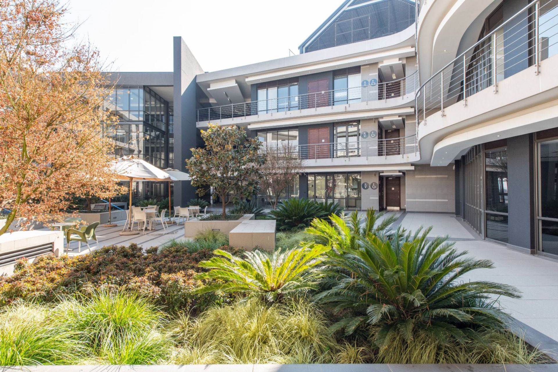 Zwartkop Golf Estate Property property and houses to rent in Zwartkop Golf Estate, Centurion