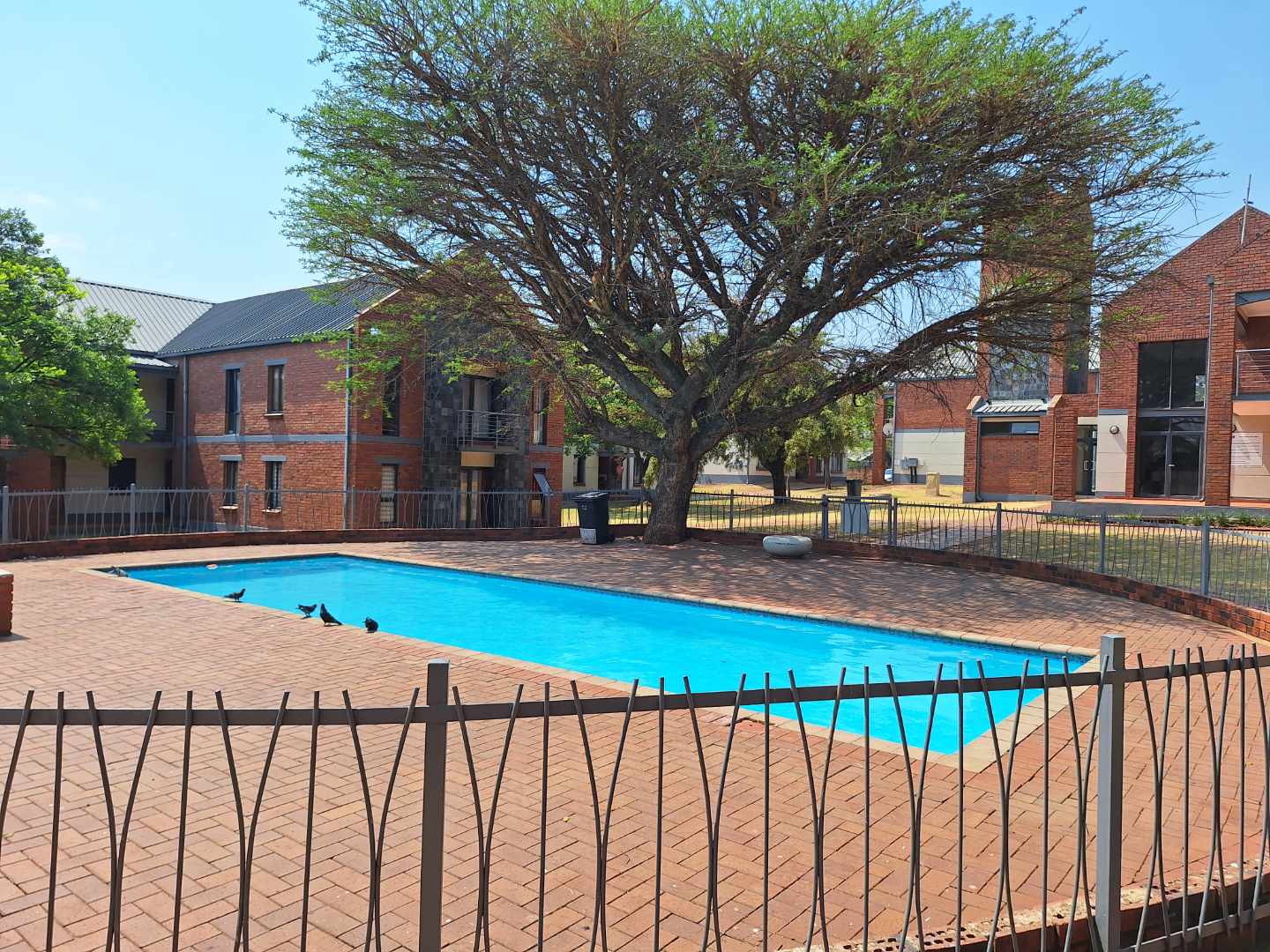 1 Bedroom Apartment For Rent in Auckland Park