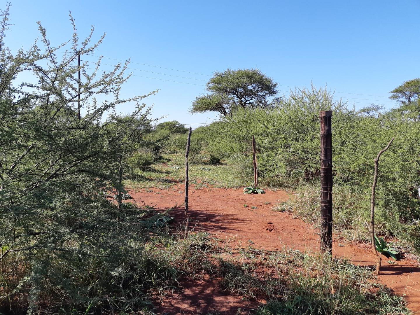 Prime Vacant Land Agricultural For Sale, Northam Central Opportunity