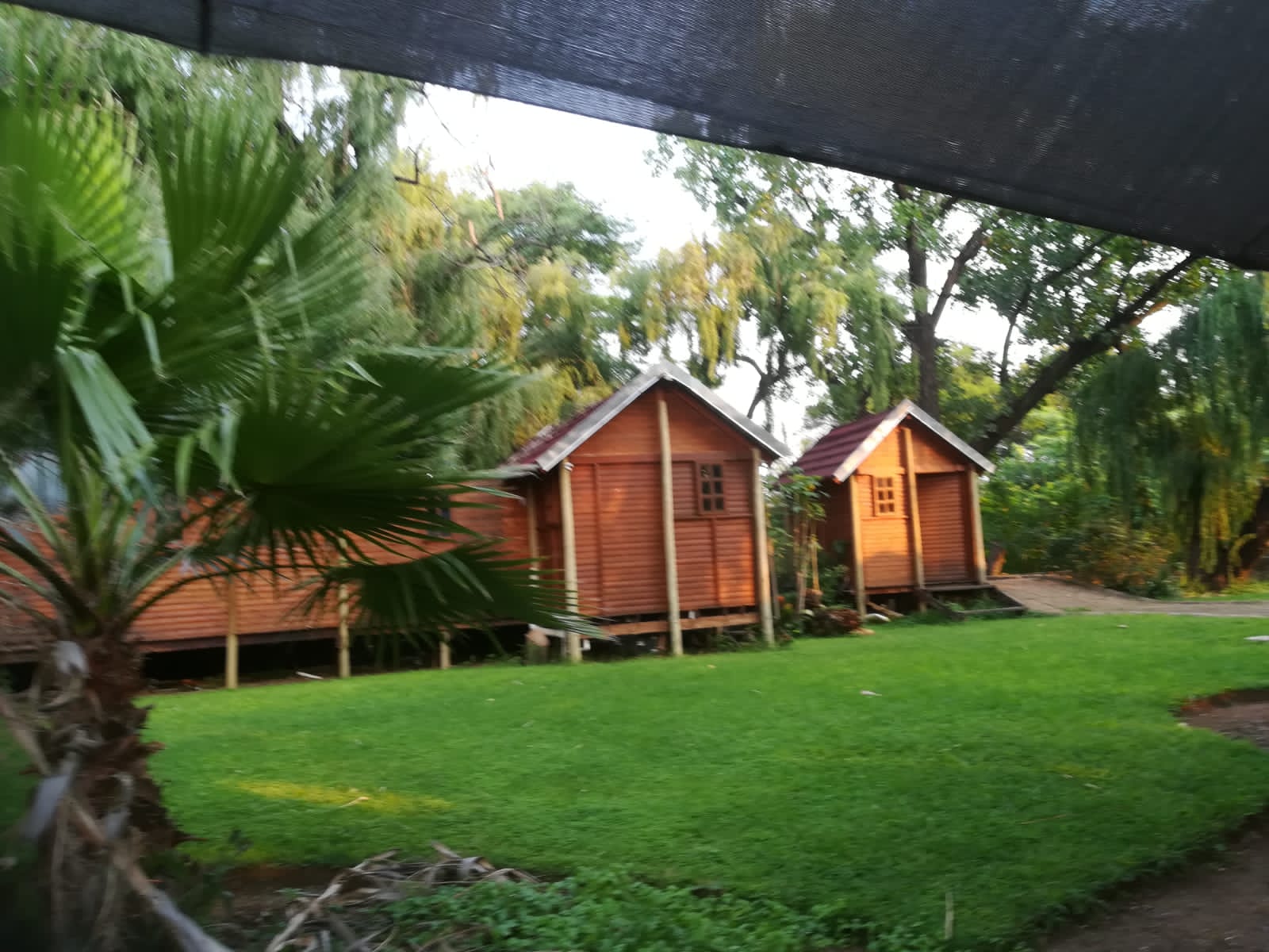 Waverley Property property and houses to rent in Waverley, Pretoria