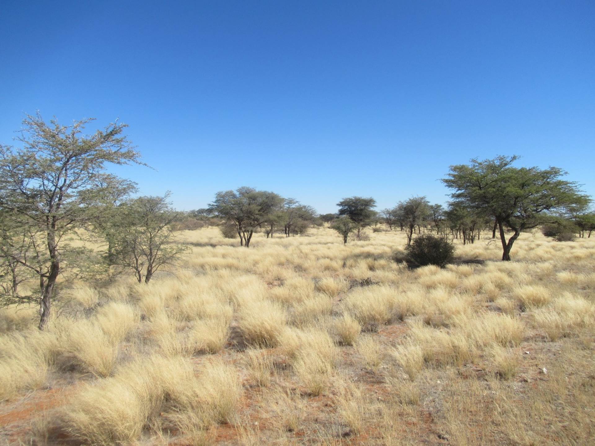 Farm For Sale In Leonardville, Leonardville, Namibia for NAM $ 16,500,000