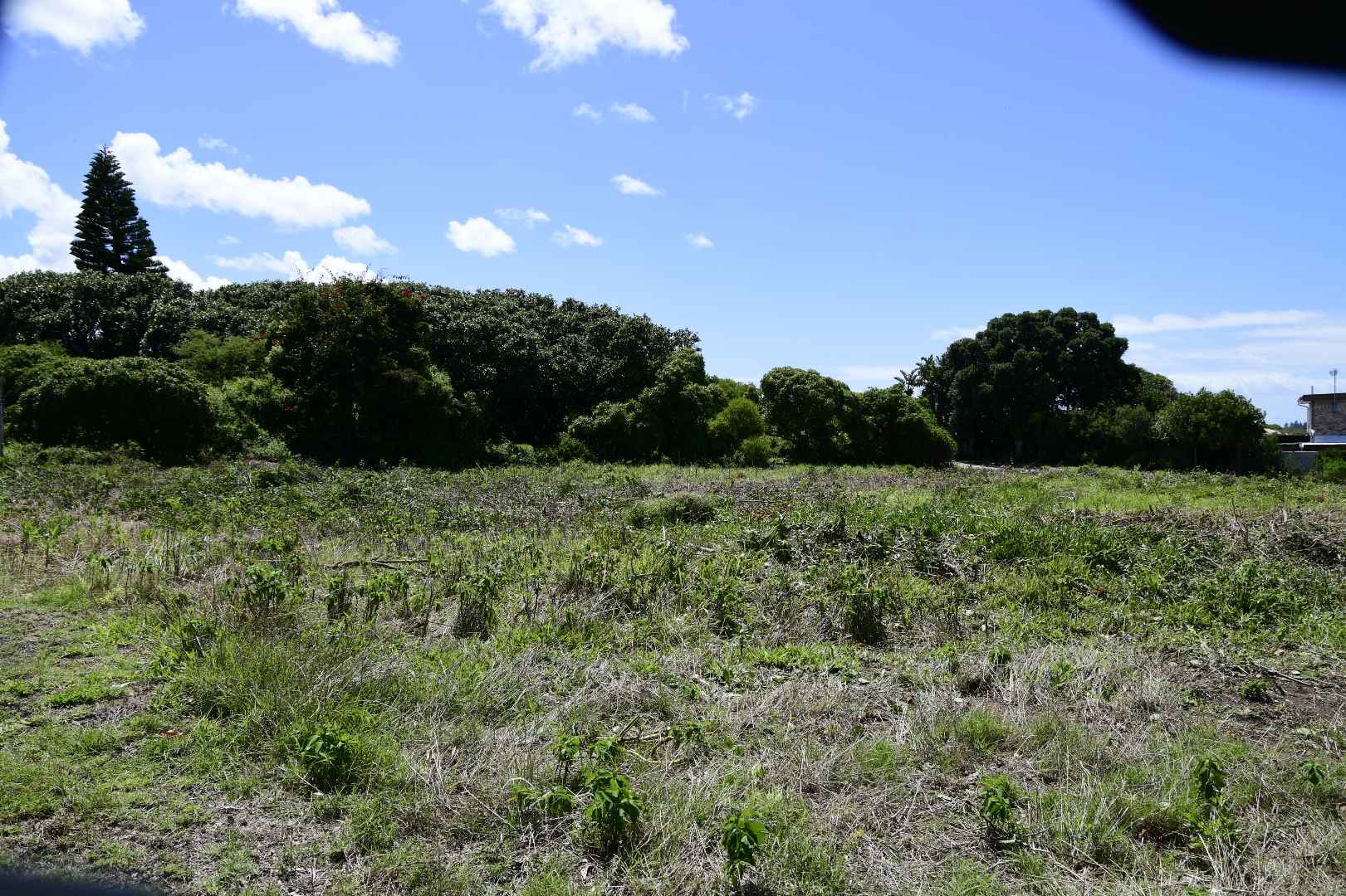 990m² Vacant Land Residential in Seaview, Port Elizabeth Sold for R