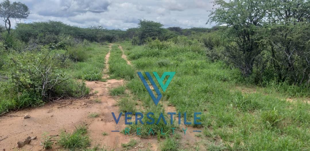Small Holding for Sale 150HA Farmland with Borehole, 3Bed House Near