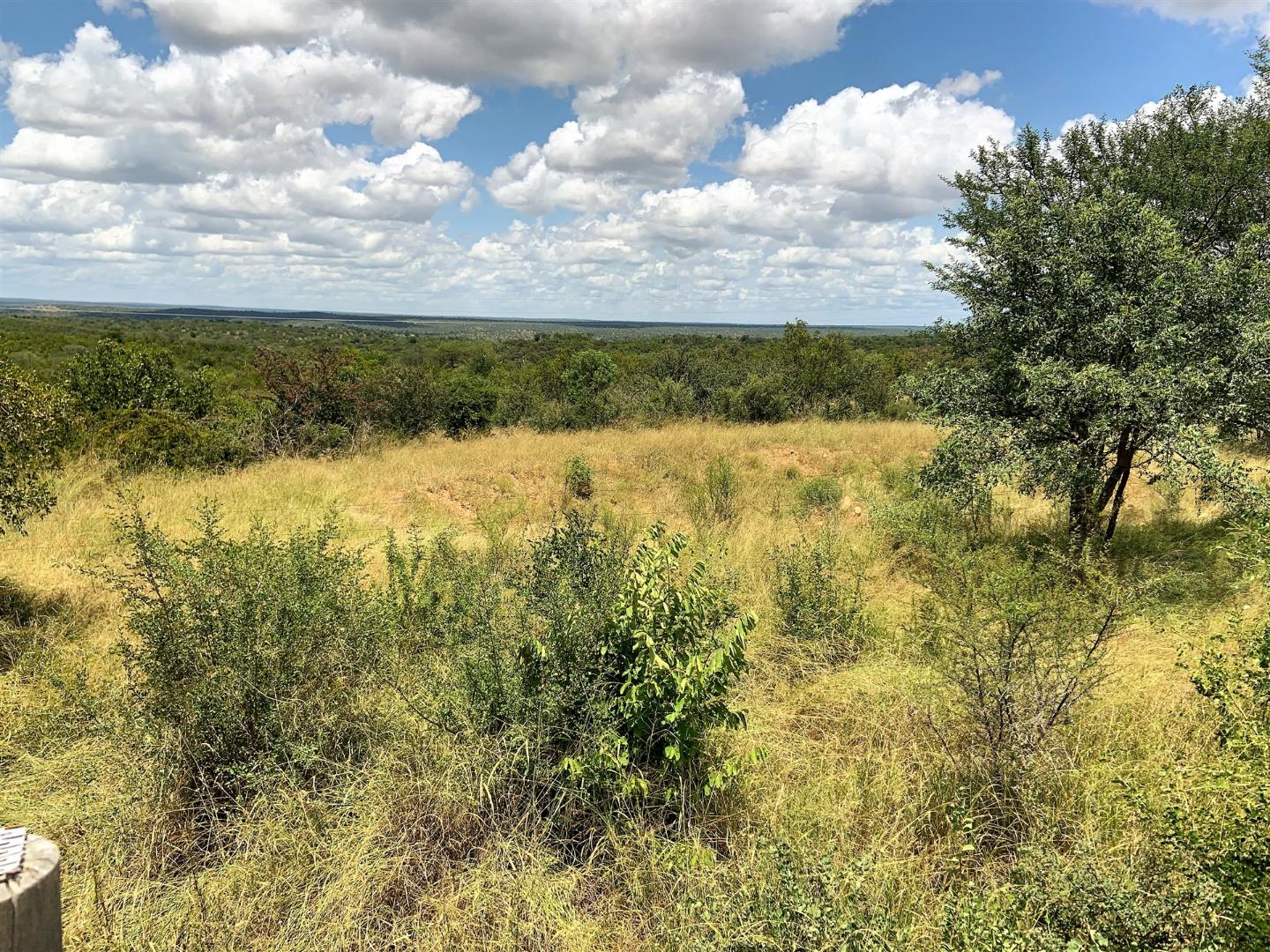 Rare Big 5 House in Parsons Game Reserve For Sale! 2047802 MyProperty