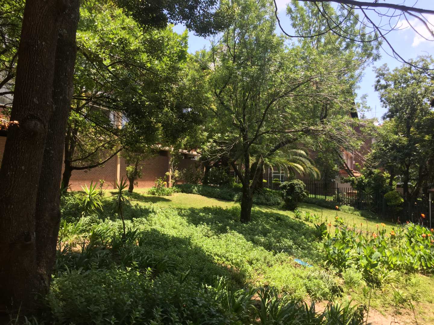 property-image