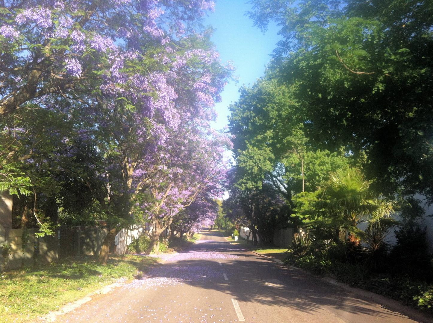 Prime Sandhurst Vacant Land for Sale Zoned for 55 Modern Apartments