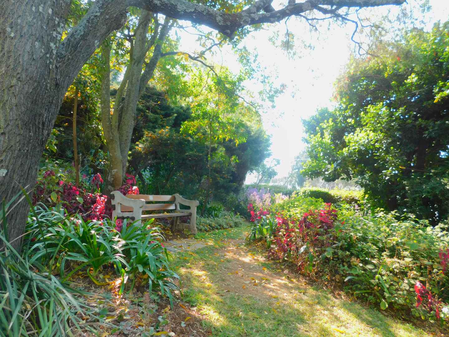 property-image