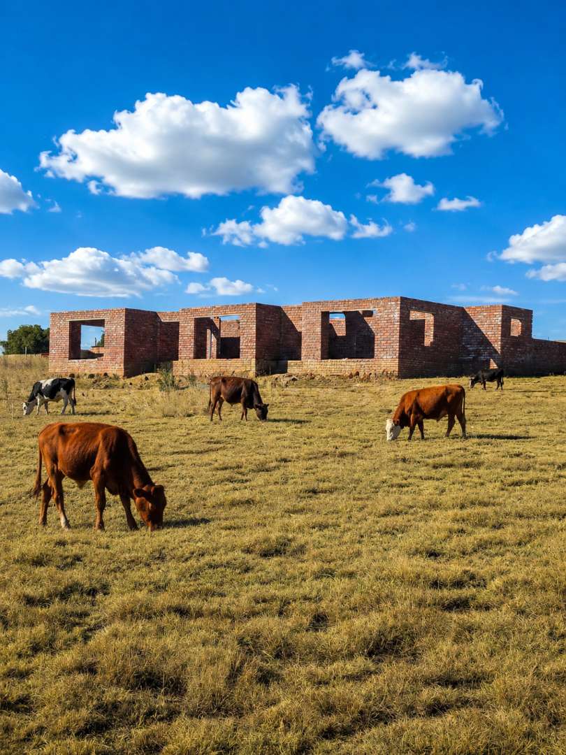Massive bargain! 5 Bedroom House (Roof Height) + 2 Hectares Fully Fenced + Over 300 Hectares Free Grazing In & around the area.