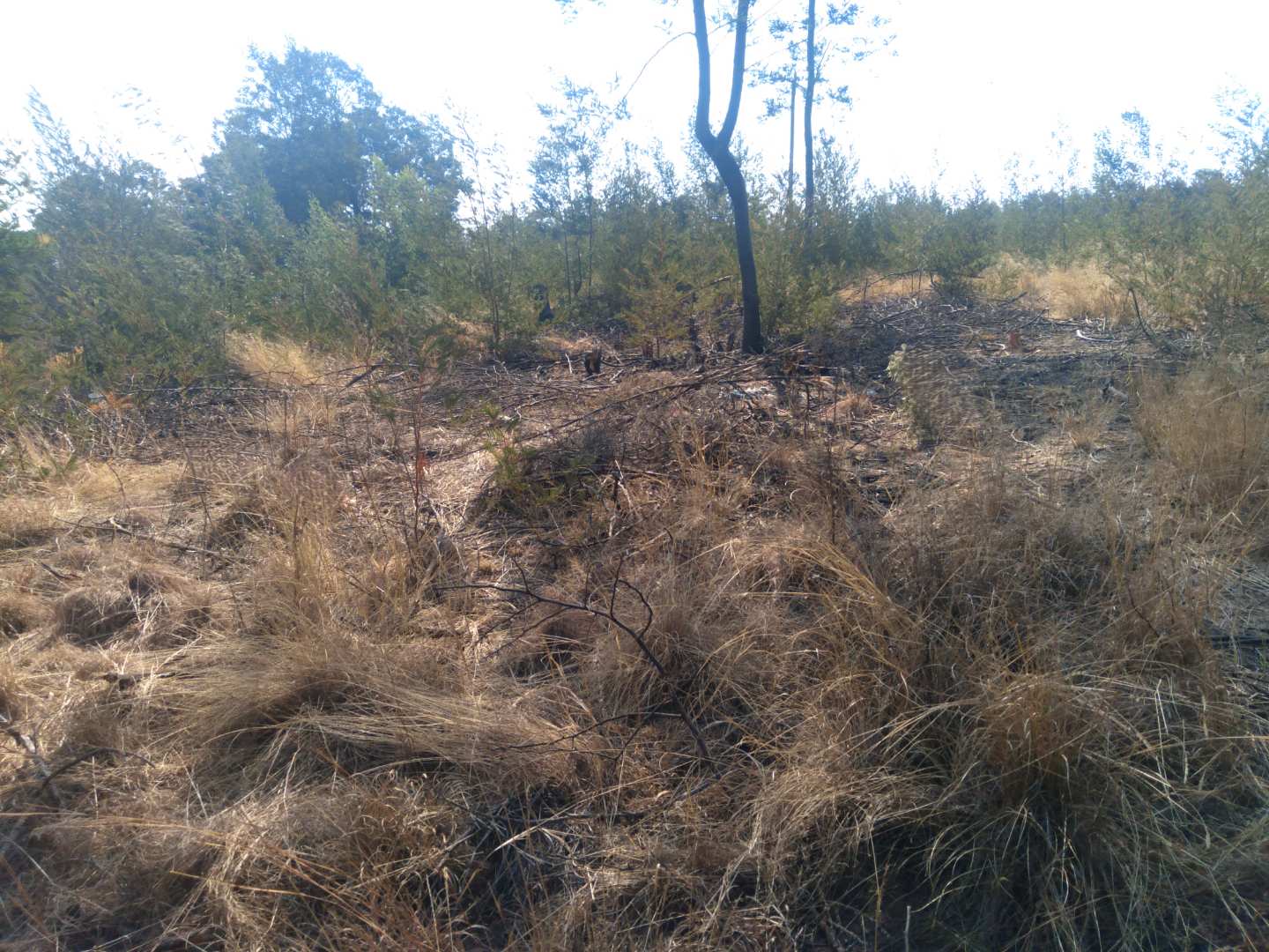 Vacant Land In Grootfontein Country Estates!