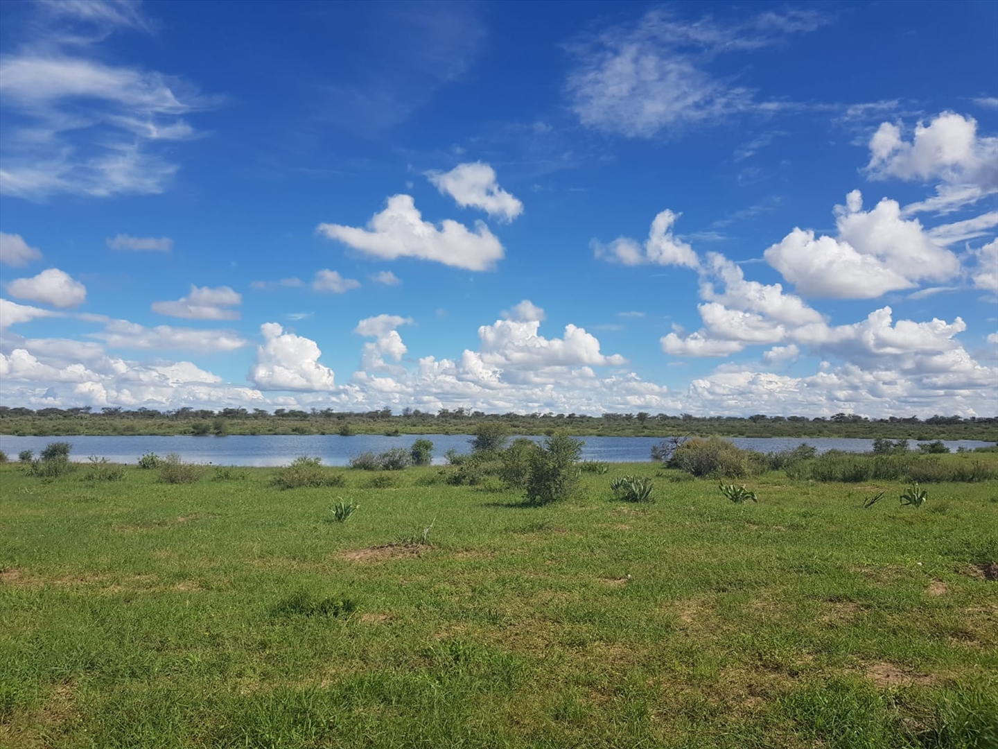 Farm For Sale In Gobabis, Gobabis, Omaheke for NAM 11,100,000