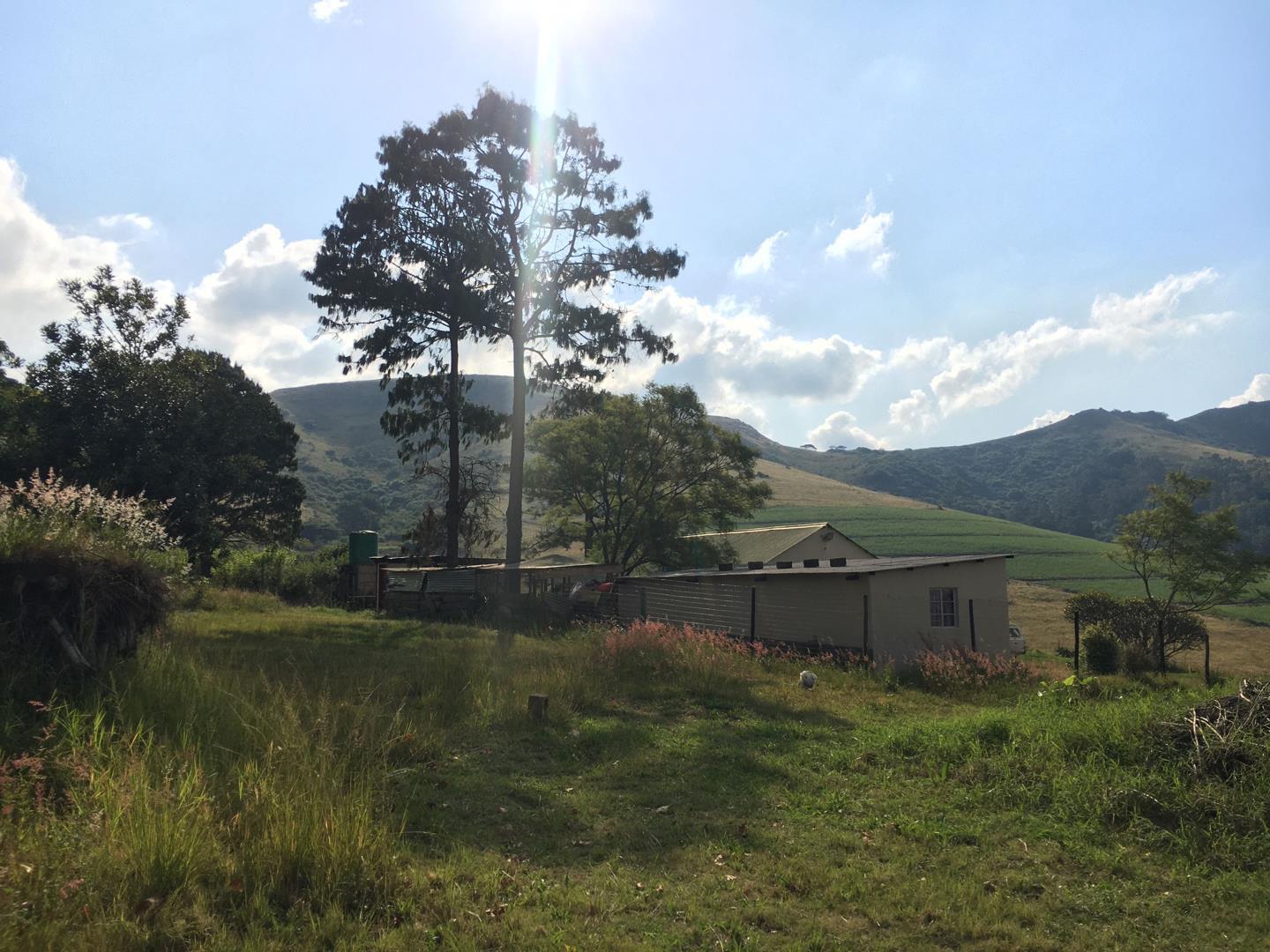 Sprawling Farm with Multiple Dams and Cottages for Sale, Camperdown