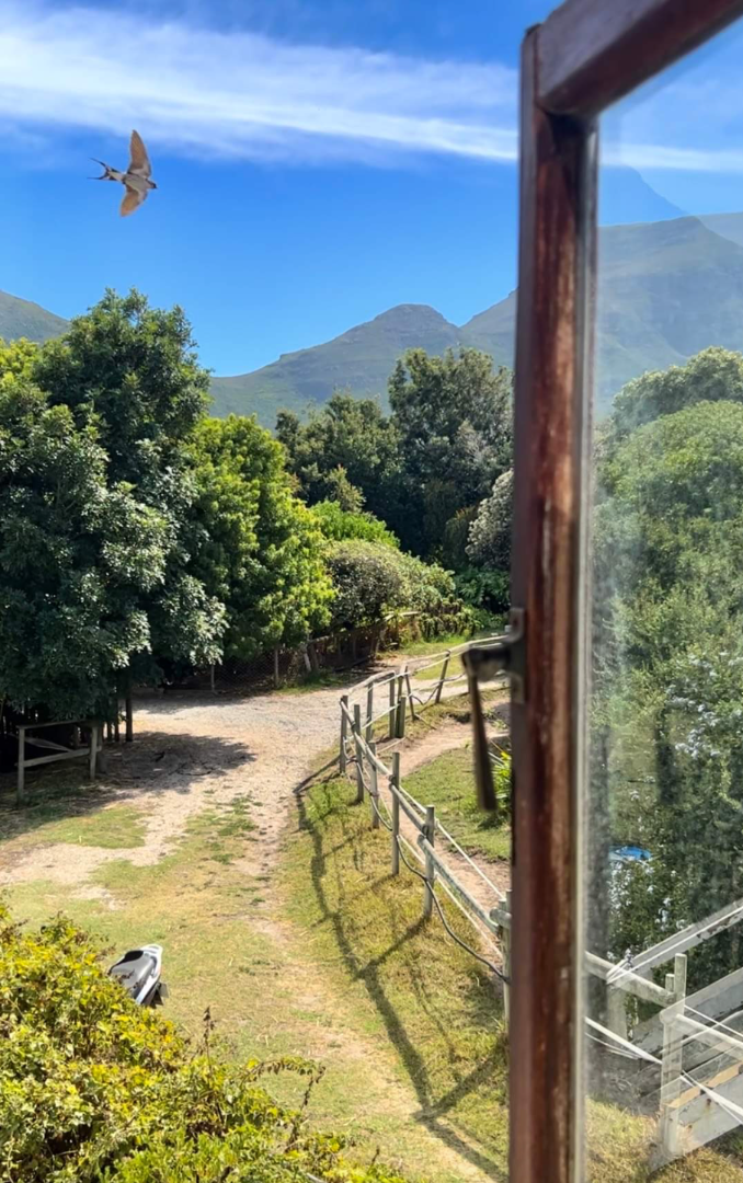 Cottage To Rent in Chapmans Peak Private garden, mountain views, pet