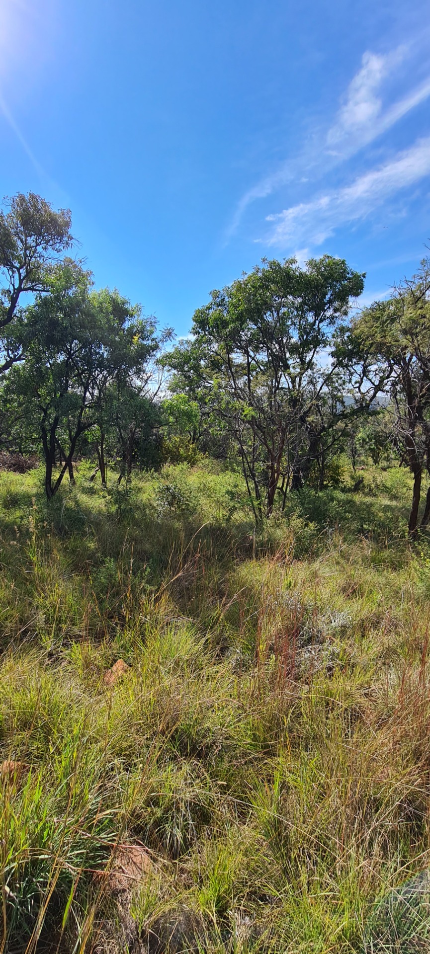 1,043m² Vacant Land Residential For Sale in Modimolle 
