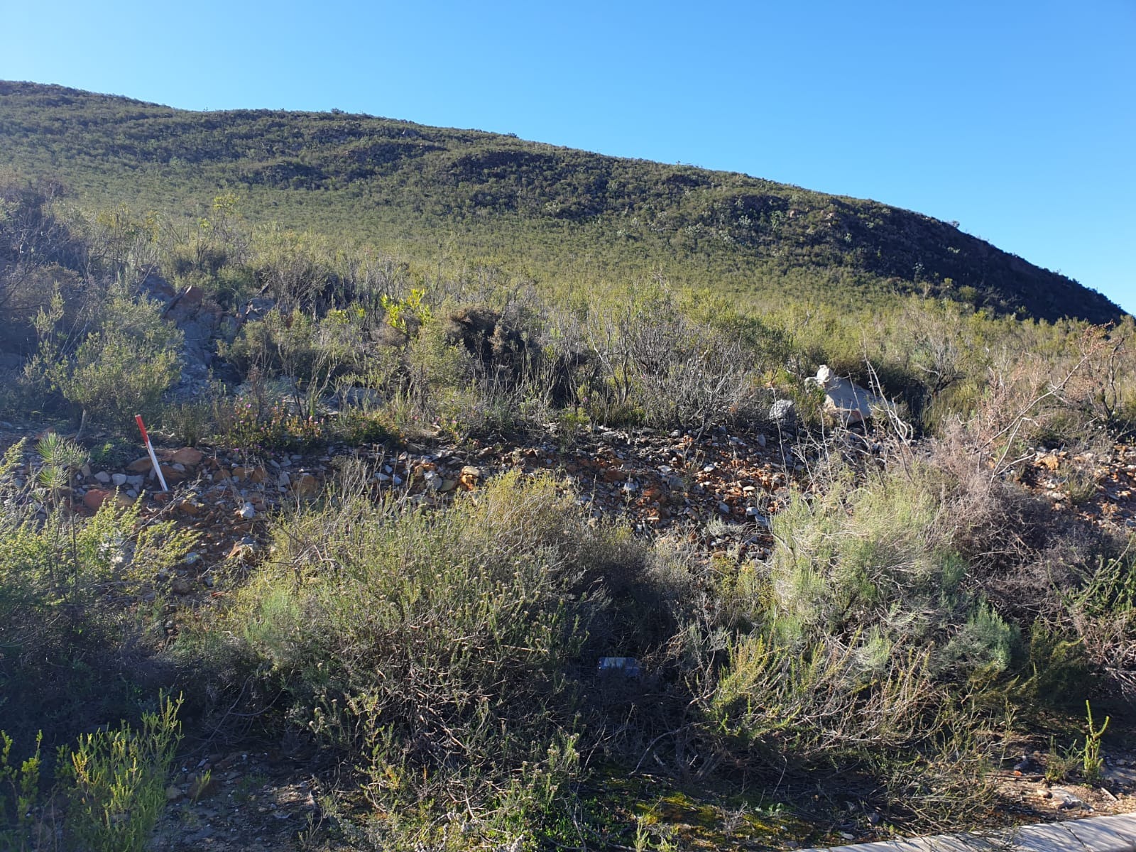 Spectacular Views Await on Vacant Land Residential, For Sale, Montagu