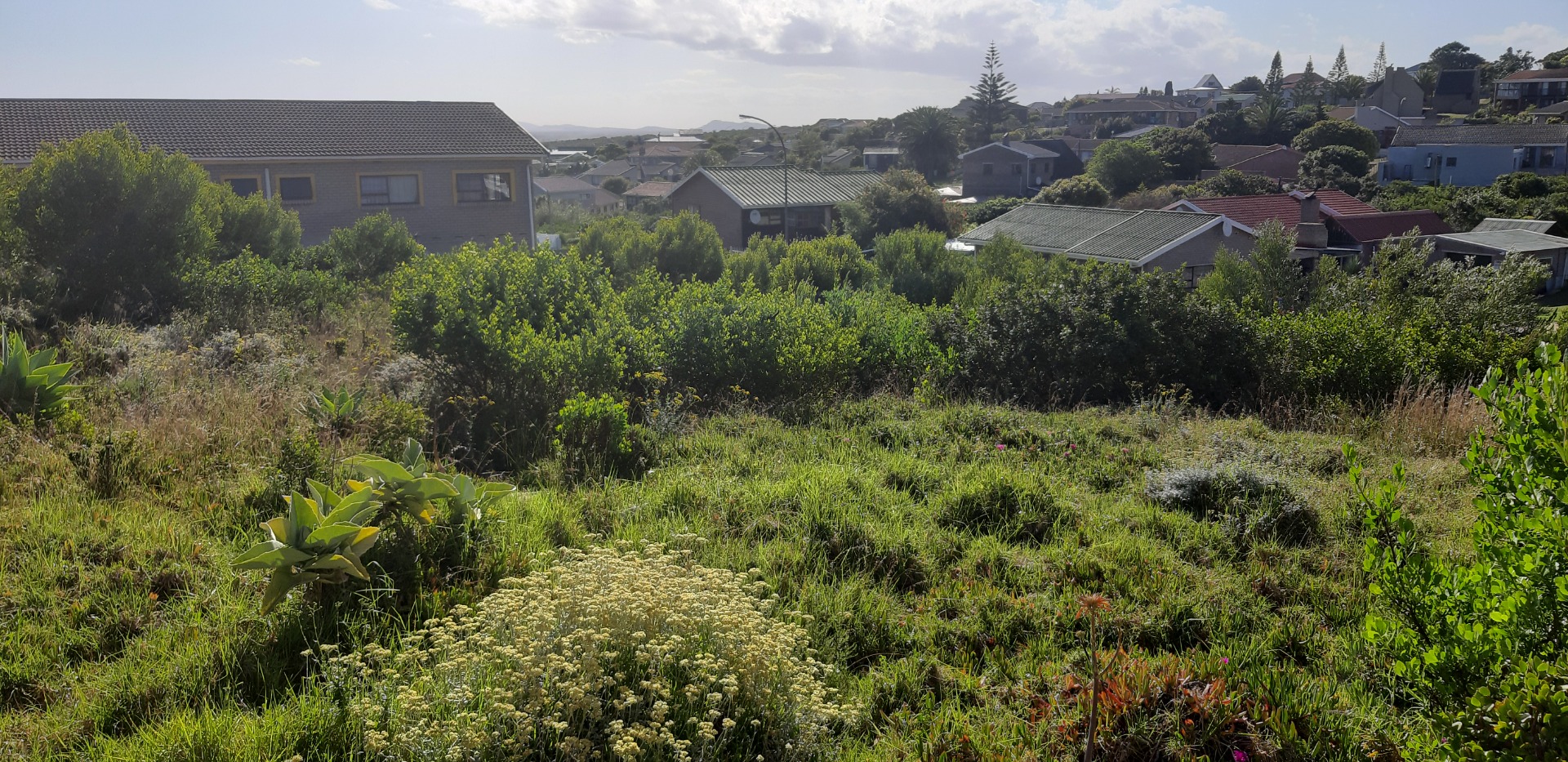 Rare Find Vacant Land Residential, For Sale, Dana Bay with Ocean Views