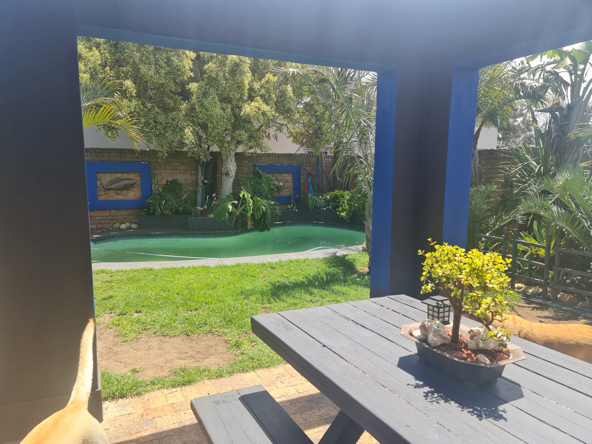 Modern Family House For Sale in Dobson Spacious, Tranquil, Quality