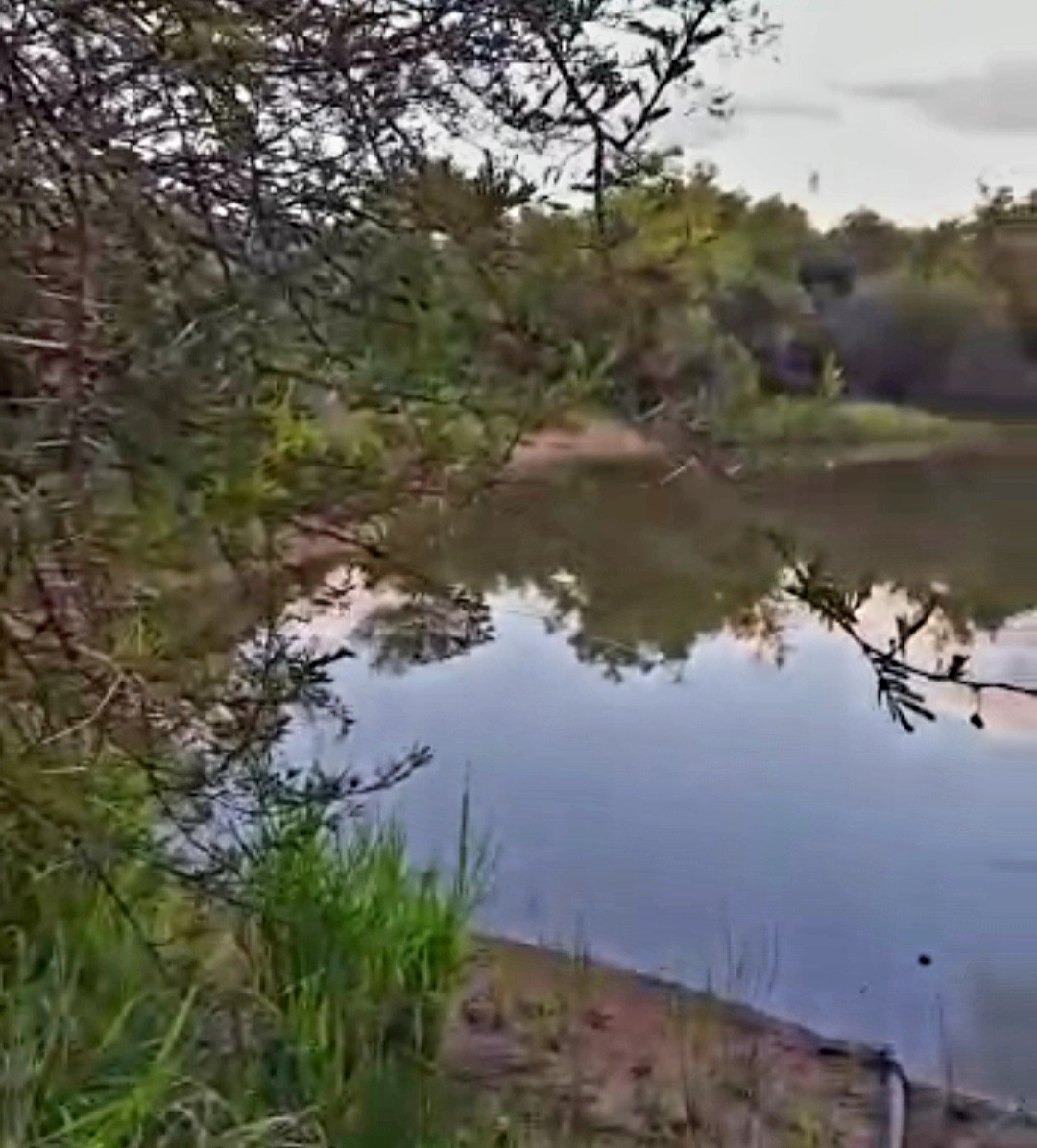 Shona Langa Vacant Land Residential for Sale Prime Location! 