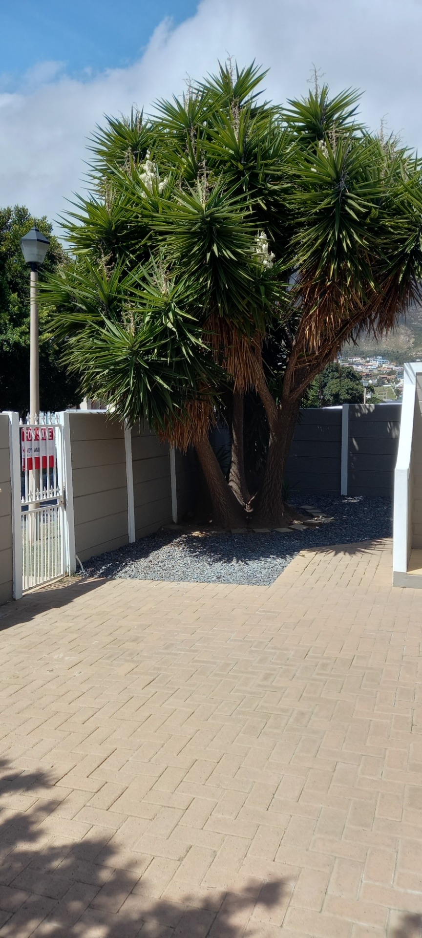 Stunning House For Sale in Anchorage Park with Separate Flat & Pool 