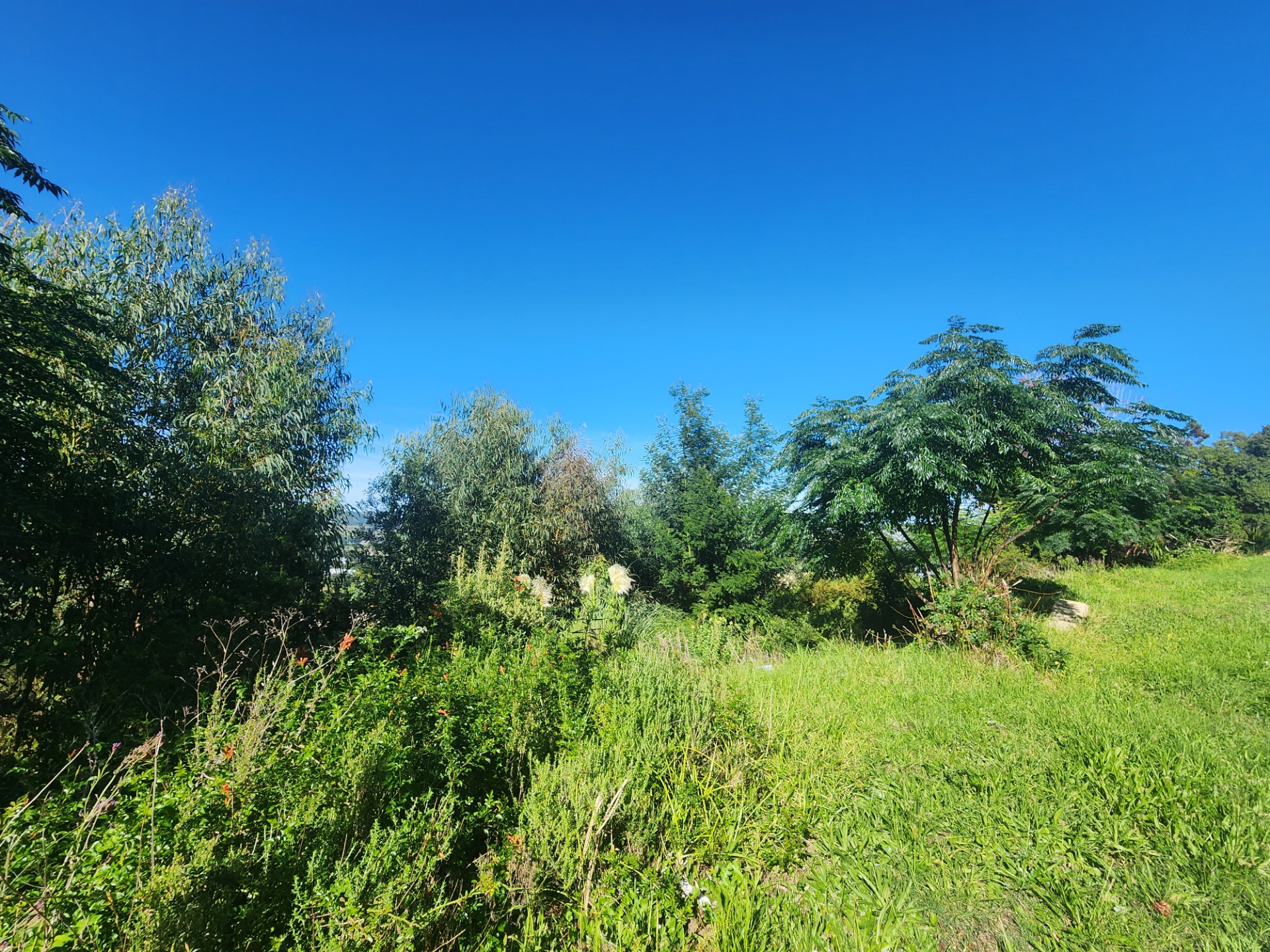 Rare Vacant Land Residential For Sale in Old Place, Knysna with Stunning Views. ENT0246640