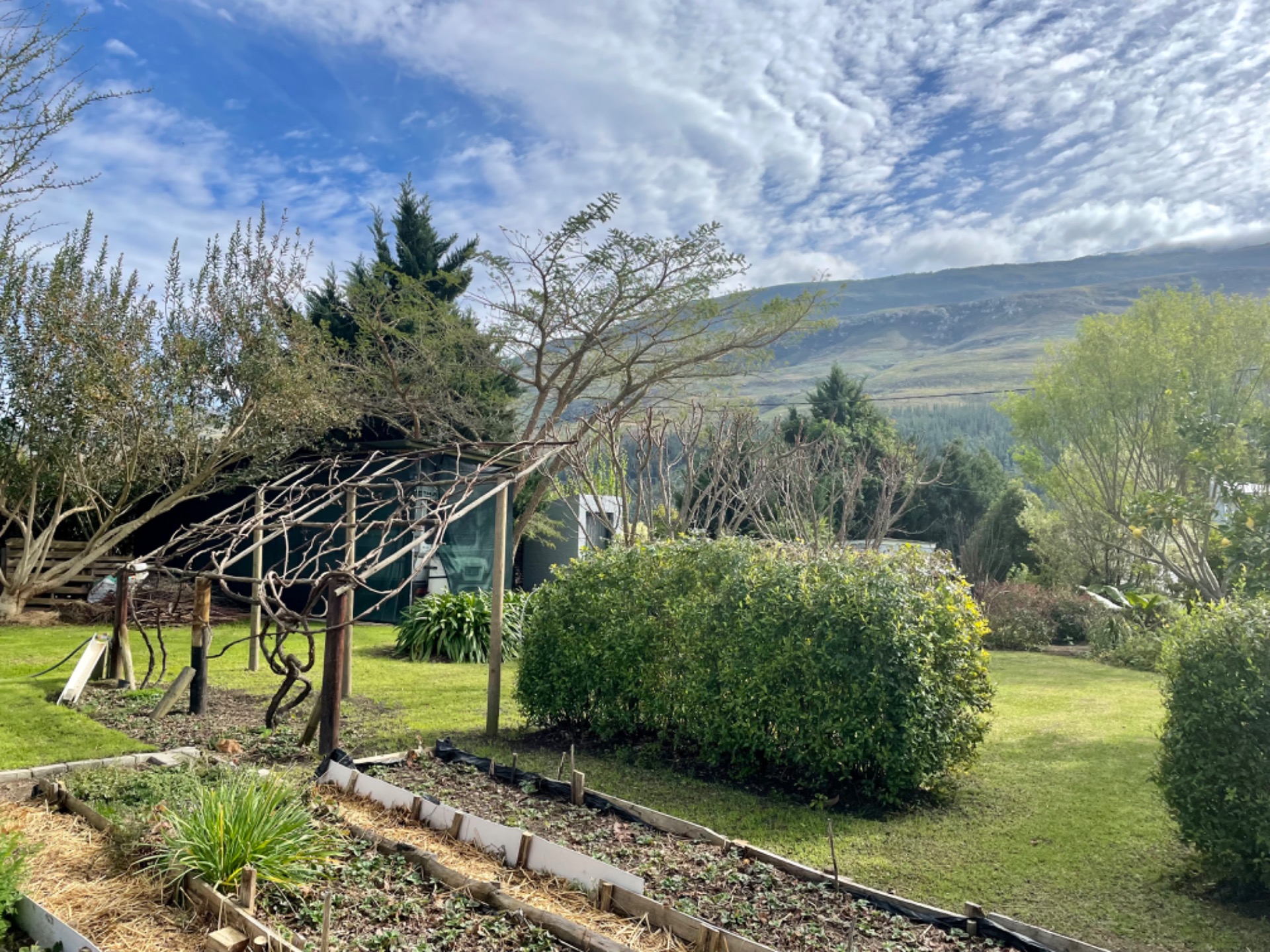 Charming Suurbraak House for Sale with Original Features and Spacious