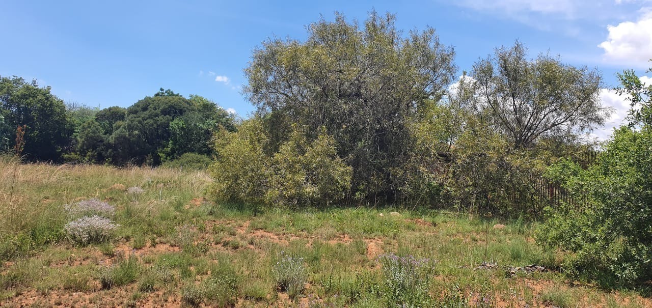 Vacant Land Residential for Sale in Vaal Marina Central, 1129 sqm, load