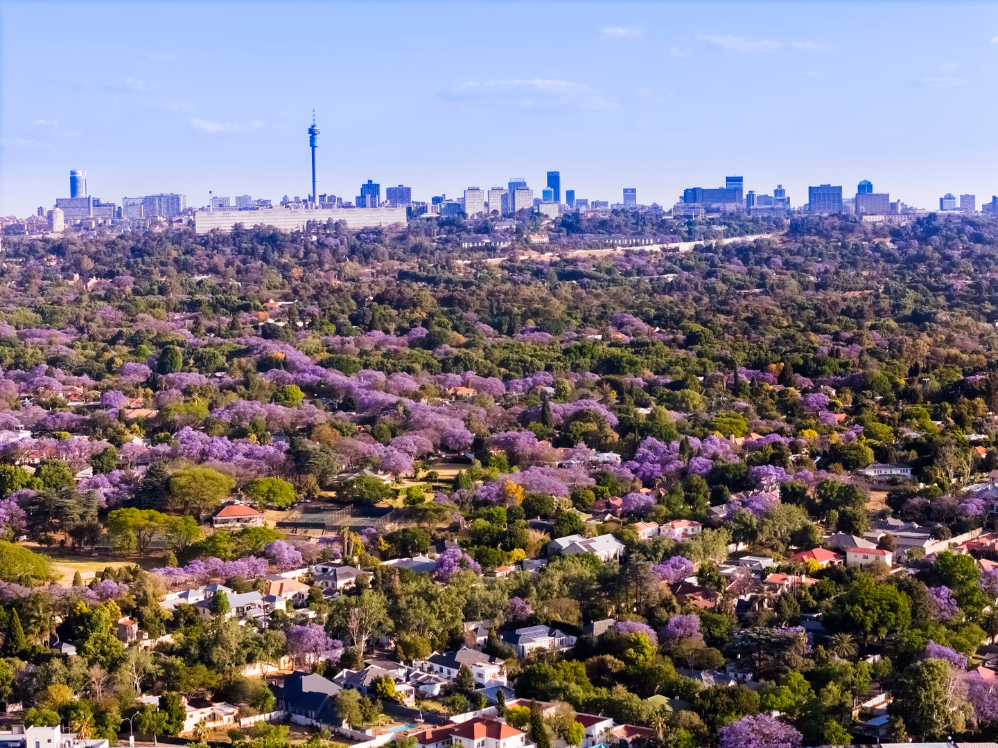 Senderwood, Bedfordview view